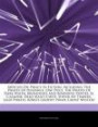 Articles On Piracy In Fiction, including The Pirates Of Penzance, One Piece, The Pirates Of Dark Water, Broadsides And Boarding Parties, El Cazador, Dead Man's Chest, Shiver My Timbers, Lego Pirates, Korn's Groovy Pirate Ghost Mystery: