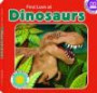First Look at Dinosaurs (First Look Book) (with easy-to-download e-book and printable activities) (First Look At... (Soundprints))