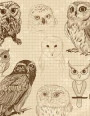 Owl Notebook: Vintage Journal Book Ruled Lined Page Writing Girl Boy Women Kids Teens Diary Bird Watching Record Plan Note Pad Writi