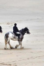 Riding Horses on the Beach in Cornwall, England Journal: Take Notes, Write Down Memories in this 150 Page Lined Journal