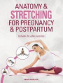 Anatomy &; Stretching for Pregnancy &; Postpartum