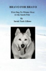 Bravo for Bravo First Dog to Winter Over at the South Pole