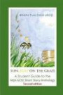 Sunlight on the Grass: A Student Guide to the AQA GCSE Short Story Anthology (Classic Guides to Literature)