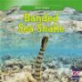 Banded Sea Snake (Killer Snakes)