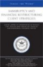 Bankruptcy and Financial Restructuring Client Strategies: Leading Lawyers on Understanding Key Business Issues, Working With Debtors and Creditors, and ... (Inside the Minds)