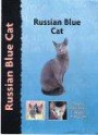 RUSSIAN BLUE CAT