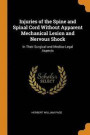 Injuries of the Spine and Spinal Cord Without Apparent Mechanical Lesion and Nervous Shock