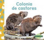 Colonia de castores (Beaver Colony)