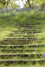 Grass Growing on Stone Steps on a Hill in Scotland Journal: 150 Page Lined Notebook/Diary