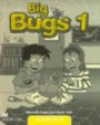 Big Bugs 1: Activity Book (Bugs International): Activity Book (Bugs International)