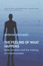 The Feeling of What Happens: Body, Emotion and the Making of Consciousne