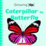 Caterpillar to Butterfly (Growing Up) (Library Edition)