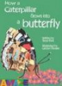 How a Caterpillar Grows into a Butterfly (Amaze)