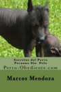 Secretos del Perro Peruano Sin Pelo: Perro-Obediente.com