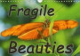 Fragile Beauties - Exotic Butterflies 2018: Spellbinding Photos of Various Exotic Butterflies in Their Natural Habitat. (Calvendo Animals)