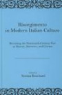 Risorgimento in Modern Italian Culture: Revisiting the Nineteenth Century Past in History, Narrative, and Cinema (The Fairleigh Dickinson University Press Series in Italian Studies)