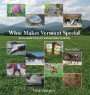 Third Edition What Makes Vermont Special