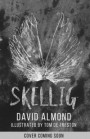 Skellig: the 25th anniversary illustrated edition