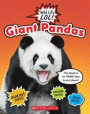 Giant Pandas (Wild Life Lol!)