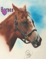 Horses: Horse Lovers Composition Notebook, Journal, Diary That Allows You to Be Creative with My Unique Designed Write and Dra