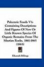 Paleozoic Fossils V1: Containing Descriptions And Figures Of New Or Little Known Species Of Organic Remains From The Silurian Rocks, 1861-1865 (1865)