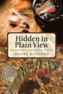 Hidden in Plain View: Recognizing the Obvious-Exploiting the Obscure in Fly Fishing