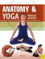 Anatomy &; Yoga