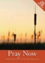 Pray Now 2009: Daily Devotions for the Year 2009