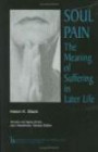 Soul Pain: The Meaning of Suffering in Later Life (Society and Aging) (Society and Aging Series)