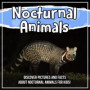 Nocturnal Animals: Discover Pictures and Facts About Nocturnal Animals For Kids!