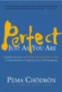 Perfect Just as You Are: Buddhist Practices on the Four Limitless Ones--Loving-Kindness, Compassion, Joy, and Equanimity