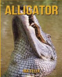 Alligator: Le livre des Informations Amusantes pour Enfant & Incroyables Photos d'Animaux Sauvages - Le Merveilleux Livre des All