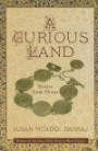A Curious Land: Stories from Home (Grace Paley Prize in Short Fiction)