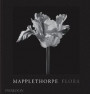 Mapplethorpe Flora