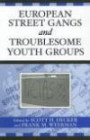 European Street Gangs and Troublesome Youth Groups: Findings from the Eurogang Research Program (Violence Prevention and Policy)