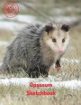 Opossum Sketchbook: Blank Paper for Drawing, Doodling or Sketching 120 Large Blank Pages (8.5x11) for Sketching, inspiring, Drawing Anythi
