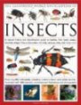 The Illustrated World Encyclopedia of Insects: A natural history and identification guide to beetles, flies, bees wasps, springtails, mayflies, stoneflies, ... crickets, bugs, grasshoppers, fleas, spide