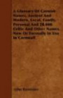 A Glossary Of Cornish Names, Ancient And Modern, Local, Family, Personal And 20, 000 Celtic And Other Names, Now Or Formally In Use In Cornwall