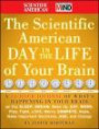 The Scientific American Day in the Life of Your Brain: A 24 hour Journal of What's Happening in Your Brain as you Sleep, Dream, Wake Up, Eat, Work, ... Love, Worry, Compete, Hope, Make Important D