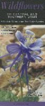 Wildflowers of Central and Southern Utah: A Guide to Common and Rare Native Species