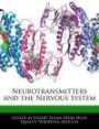 Neurotransmitters and the Nervous System
