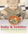 Baby and Toddler Healthy Eating Planner: The New Way to Feed Your Baby or Toddler a Balanced Diet Every Day, Featuring More Than 350 Recipe