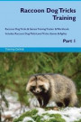 Raccoon Dog Tricks Training Raccoon Dog Tricks & Games Training Tracker & Workbook. Includes: Raccoon Dog Multi-Level Tricks, Games & Agility. Part 1