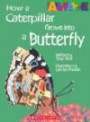 How a Caterpillar Grows Into a Butterfly (Amaze)