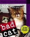 Bad Cat Page-A-Day Calendar 2007