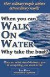 When You Can Walk on Water Why Take the Boat?: How Ordinary People Achieve Extraordinary Results