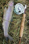 Caught a Rainbow Trout with a Fly Rod Fishing Journal: Take Notes, Write Down Memories in This 150 Page Lined Journal