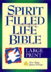 Holy Bible: Spirit Filled Life Bible, New King James Version, Large Print
