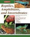 Reptiles, Amphibians, and Invertebrates: An Identification and Care Guide (Reptile Keepers Guide)