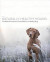 The Healthy Hound Wellness Bible: The Complete Guide to Natural Dog Care